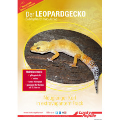 Lucky Reptile Lucky Reptile Starter Kit "Leopard Gecko" noir Terrarium (kits)