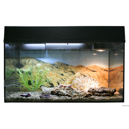 Lucky Reptile Starter Kit "Leopard Gecko" negro