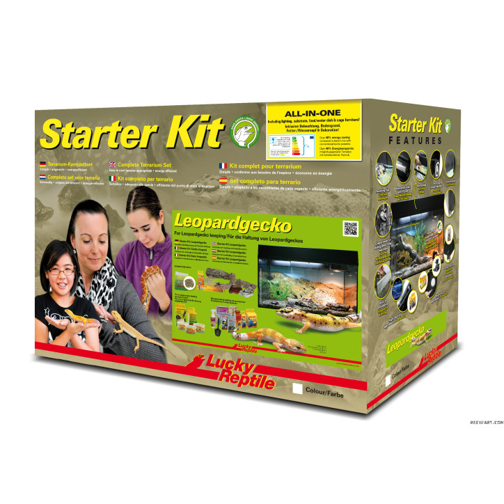 Lucky Reptile Starter Kit "Leopard Gecko" noir