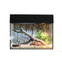 Kit de serpiente de arranque - 50cm