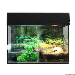 Lucky Reptile Starter Kit "Bombina/Pacman" - 80cm Terrarium (kits)