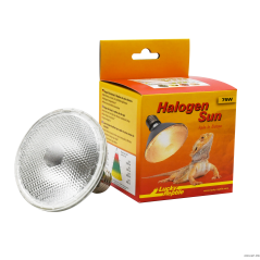 Halogeen Zon 75 W