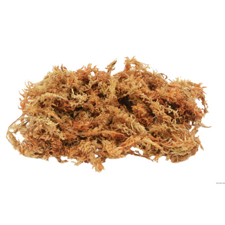 Mousse de sphaigne 500 g