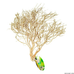 Desert bush "bleached" medium