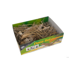 Lebenserfahrung Deco Set Wüste