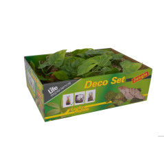 Life Experience Deco Set Jungle
