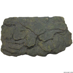 Lucky Reptile Turtle Island II medio Decorazione