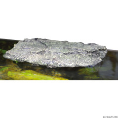 Lucky Reptile Îlot flottant pour tortue aquatique - grande taille Décoration