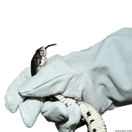 Gray protective gloves for left-handed