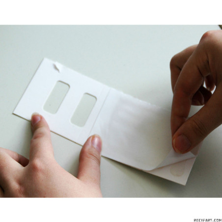 Bug Stop - Cricket Sticky Trap