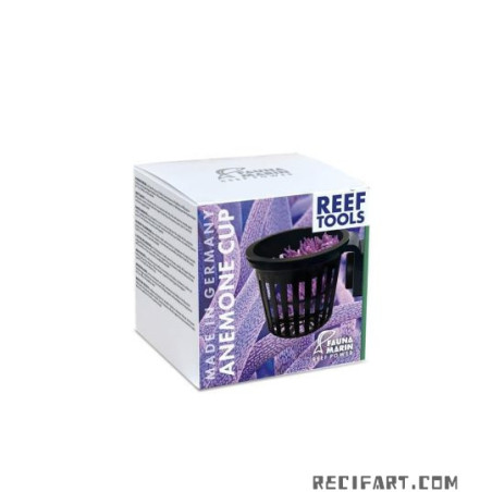 Fauna marin Anemone Cup Autres