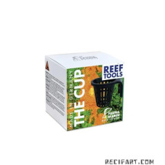 Fauna marin The Cup others