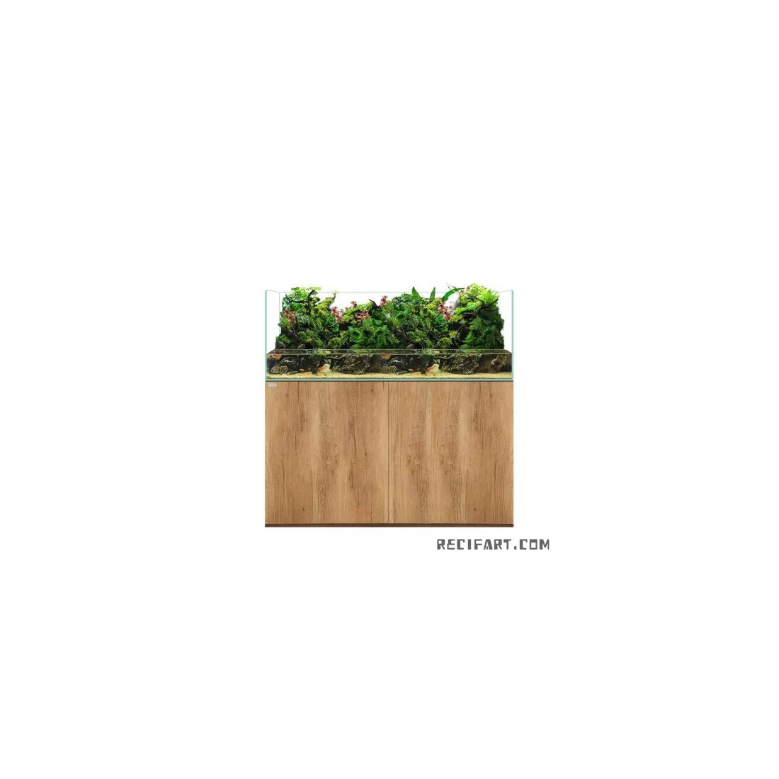 Waterbox Terra 4820 Chêne - paludarium Terrarium Waterbox Terra 4820 Chêne - paludarium Terrarium