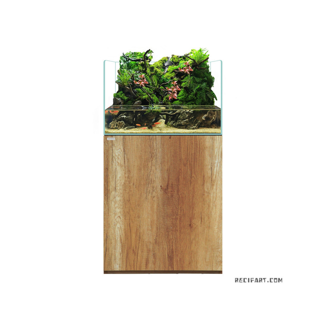 Waterbox Terra 2418 Chêne - paludarium Terrarium Waterbox Terra 2418 Chêne - paludarium Terrarium