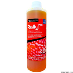 Ruby Reef Rally PRO 0.5L Ruby Reef