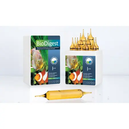 Prodibio BioDigest PRO 10 (bacteria) Bacteria