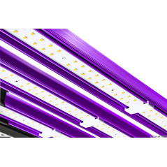 Lumatek ATS300W PRO LED horticoles