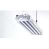 1050W GH Top Light LED (Red + Blue)