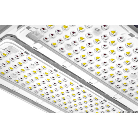 680W GH TOP LIGHT LED (Rouge + Bleu)