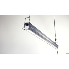 300W GH LED de luz (vermelho + azul)