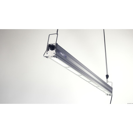 300W GH TOP LED de luz (rojo + azul)