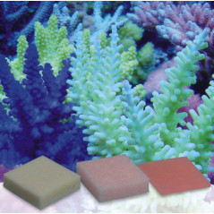 Korallen Zucht Automatic Elements Potassium Iodide Fluoride Concentrate 20 pcs Korallenzucht