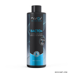 Nyos Bacto plus 250ml Bacteria