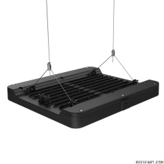 Philipps CoralCare Led