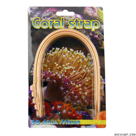 Aqua Medic Coral strap Bouturage
