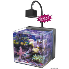 Aqua Medic Yasha+ 60 Nano Reef