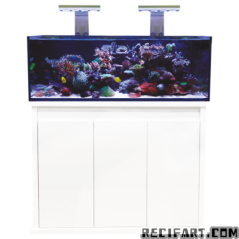D&D Reef-Pro 1200 Unequipped Aquarium