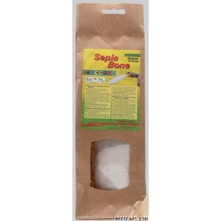 Lucky Reptile Seiche bone size l Food