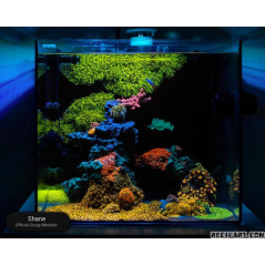 Waterbox AIO 20 Cube Nano récifal