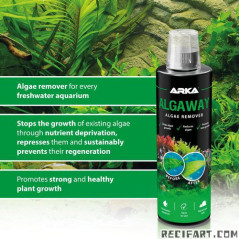 ARKA ALGAWAY 473ML TREATMENT