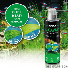 ARKA ALGAWAY 473ML TREATMENT