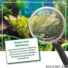 ARKA Plants Fe 473ml Fertilizer