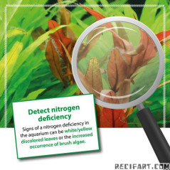 ARKA NPK 118ml Fertilizer Plants