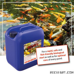 ARKA Nite-out ii pond 946ml Bactéries