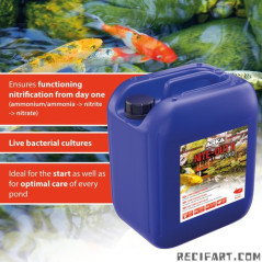 ARKA NITE-OUT II POND 5L Bacteria