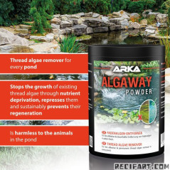 ARKA Algaway Pond Powder 500ml Anti Algae