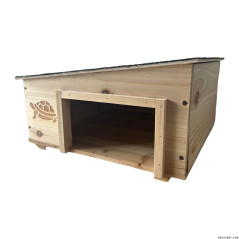 Reptiles Planet Maison pour tortue 40x40x19cm Décoration