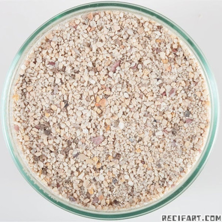 Sable vivant Arag-Alive Fiji Pink 9kg