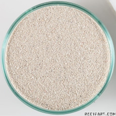 Sable vivant Arag-Alive Bahamas Oolite 9kg