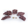 Marco rocks - coralline nano shelf rock - 3.63kg