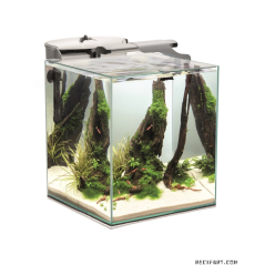 Aquael Aquarium crevettes Shrimp Set Day & Night 35 Aquariums