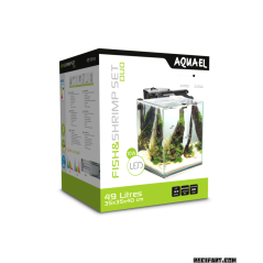 Aquarium crevettes Shrimp Set Day & Night 35