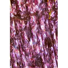 Algas vermelhas algas marinhas 20g