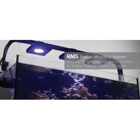 Radion multi light RMS (B - arm)