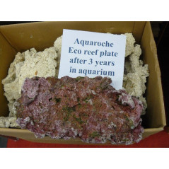 Aquaroche Eco reef plate unit Home