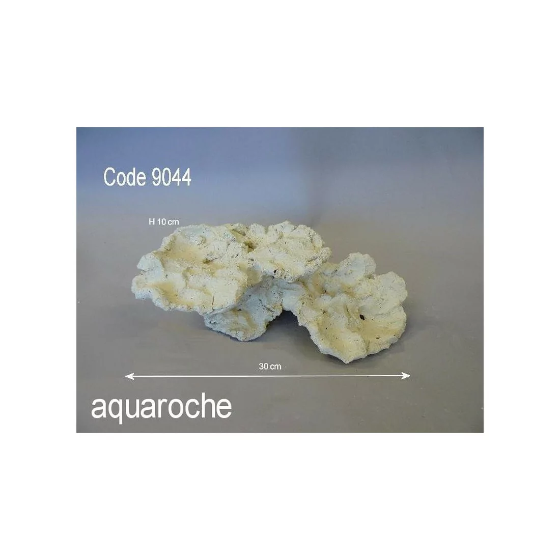 Aquaroche coral bridge